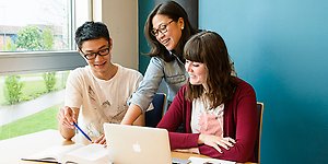 Courses and programmes for international students