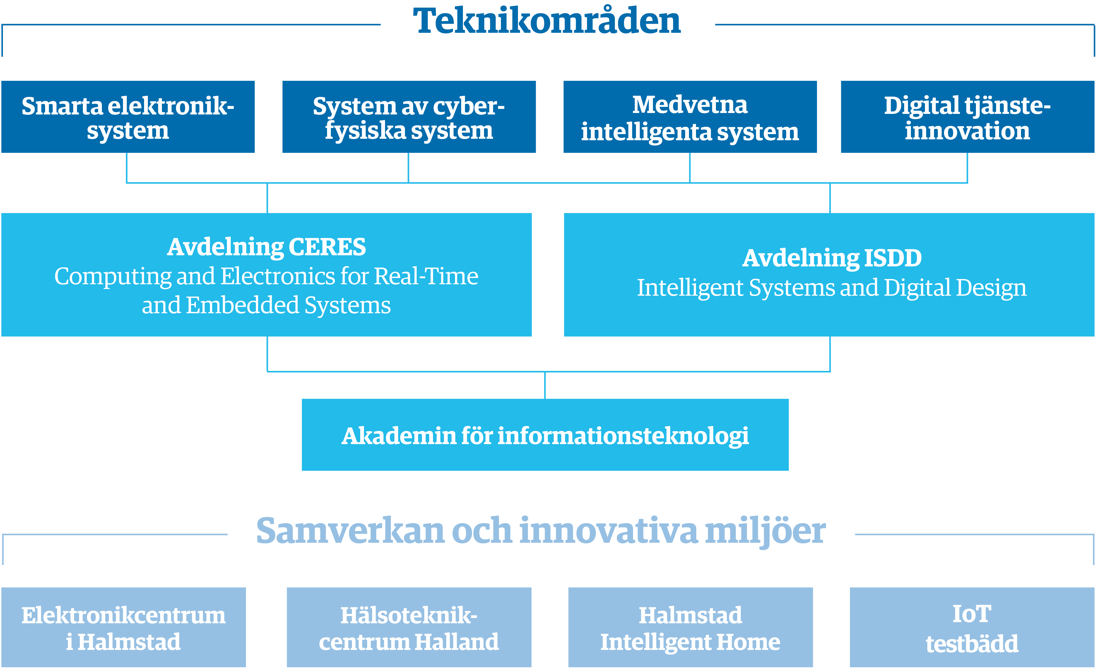 Organisationsschema över Akademin för informationsteknologi
