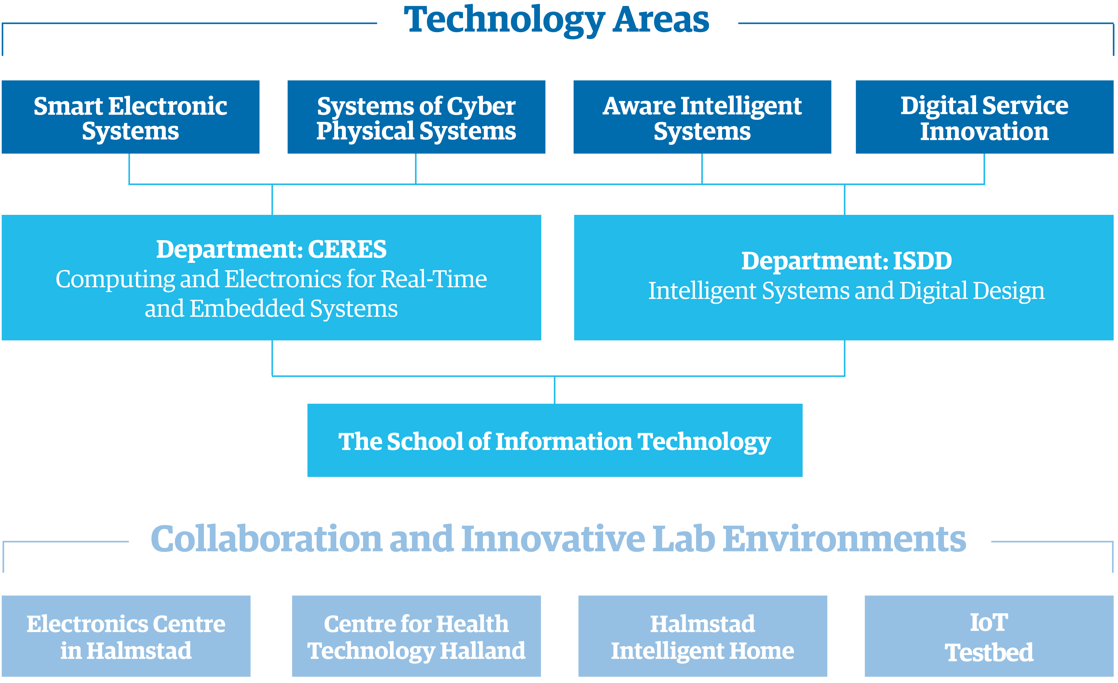 The organisation of the School of Information Technology.