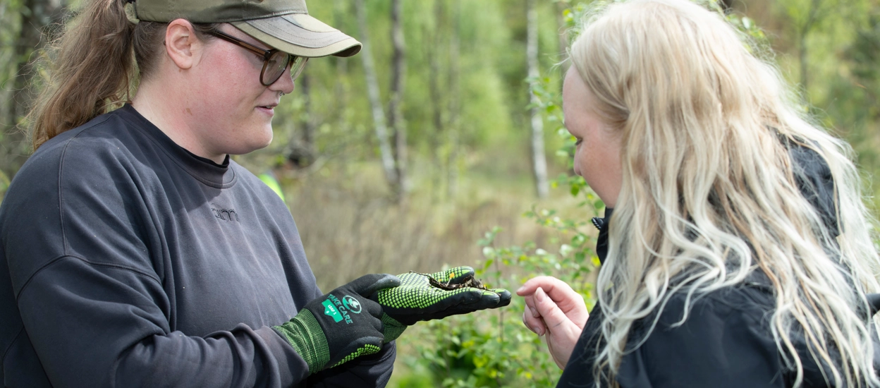 Två kvinnor som står i grönskan och undersöker en växt. Foto.