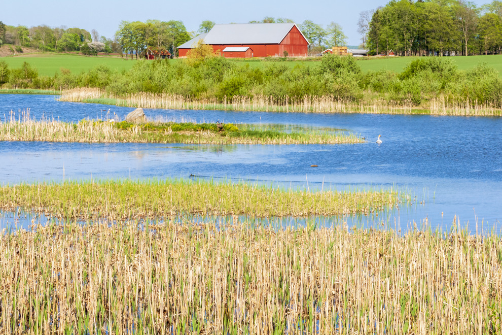 A wetland in the forground and a red lodge in the background.