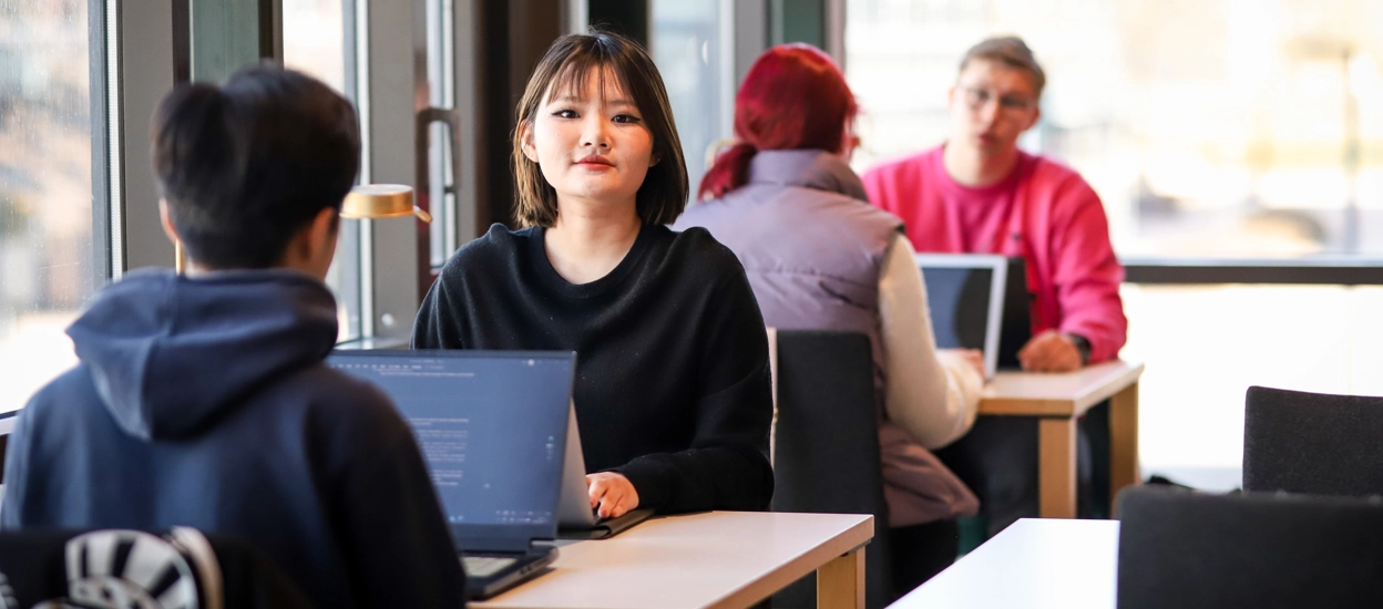 Four students are studying in front of their laptops in a bright study environment. Photo.