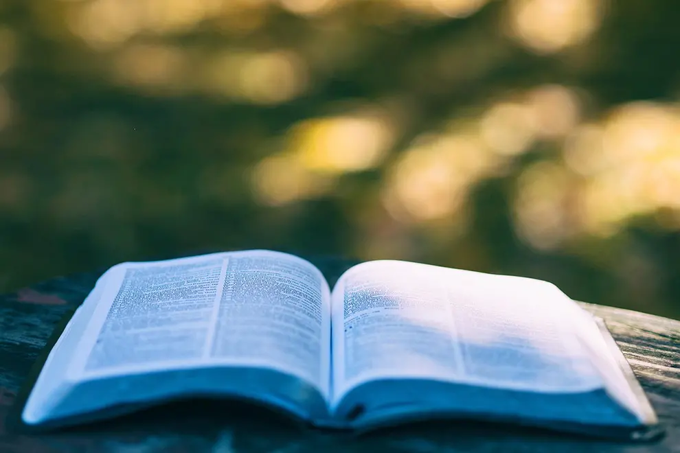 Uppslagen bok mot suddig bakgrund. Foto