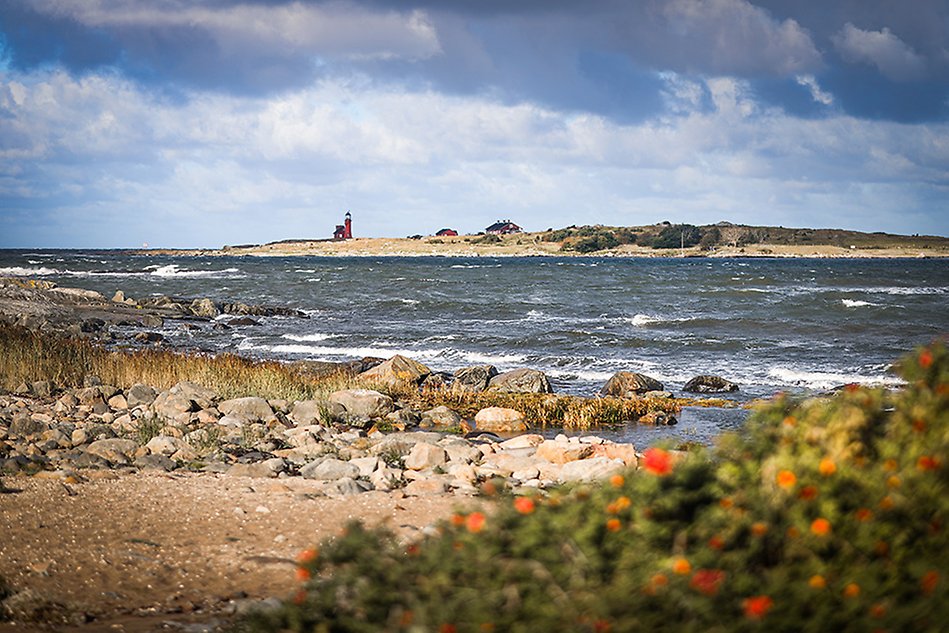 The ocean and a lighthouse on a stormy, sunny day. Green bushes in the foreground. Photo. 