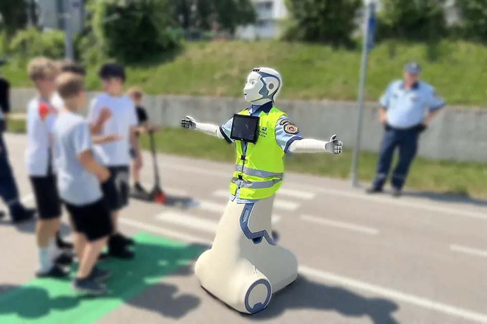 Traffic robot on a zebra crossing. Photo.