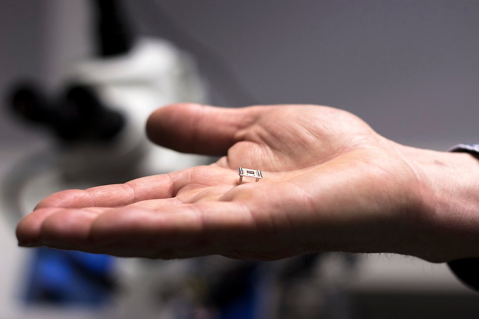 Close-up of an open hand holding a microchip