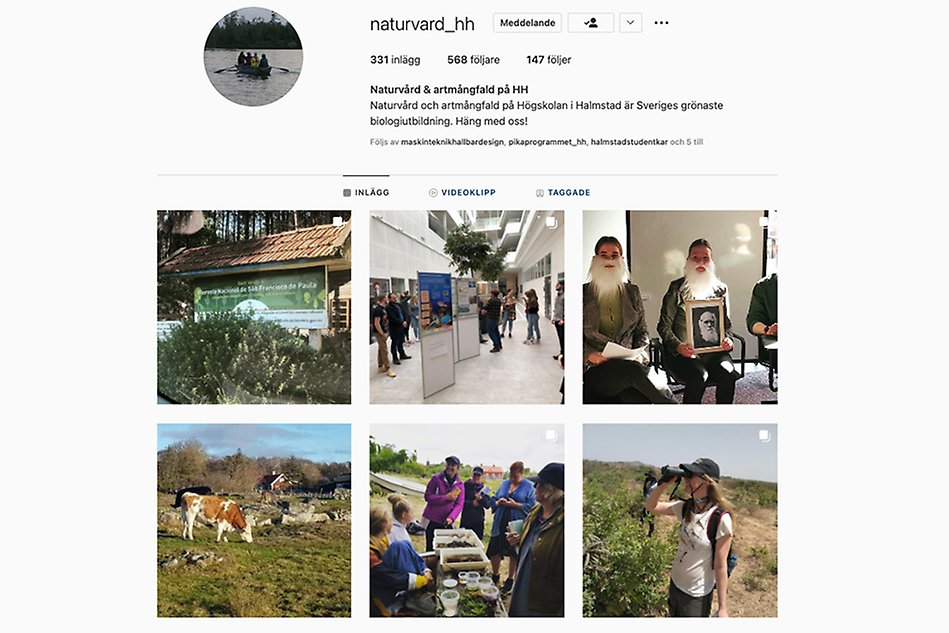 Skärmdump från Naturvård och artmångfalds Instagramkonto. Foto.