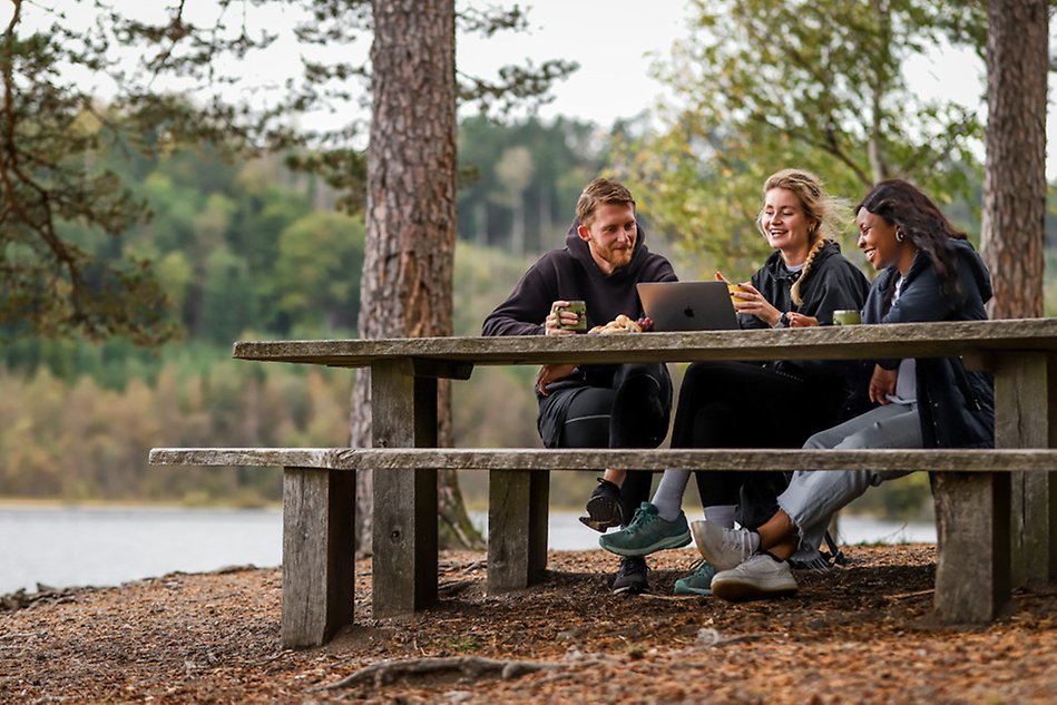 Three students sitting on a bench in the forest, looking at a laptop, while smiling.Photo.