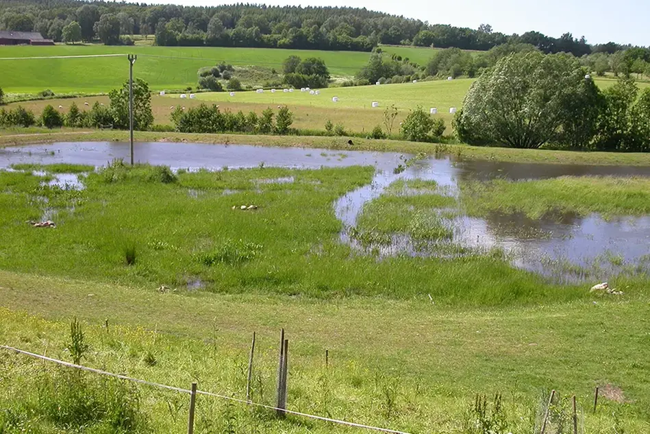 An agricultural landscape. Photo.