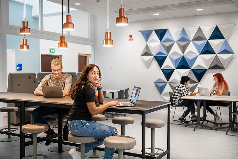 Students studying in a modern study environment. Photo.