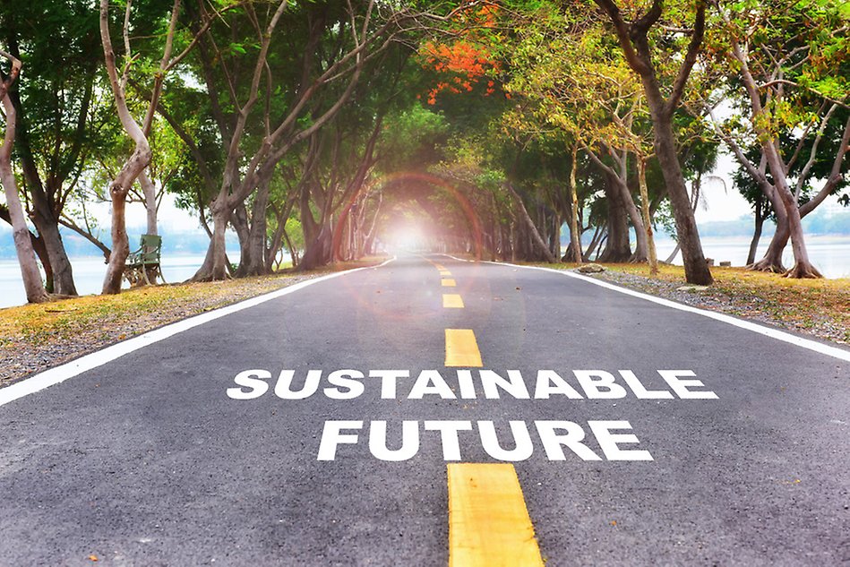 A road surrounded by trees. Written on the road is "Sustainable future".