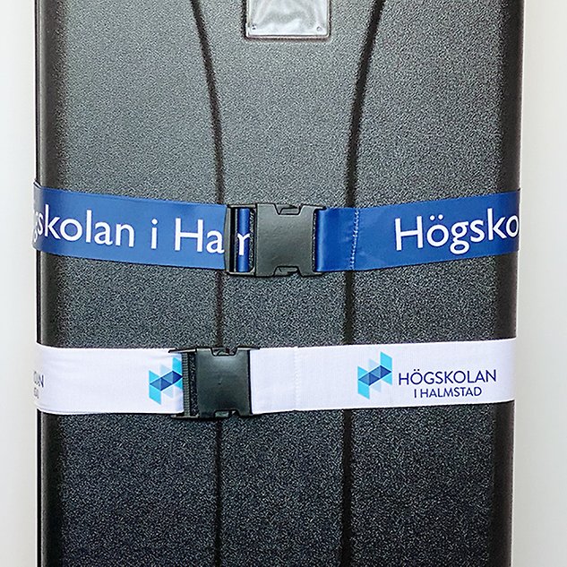 A black suitcase in close-up with two luggage straps around it. Photo.