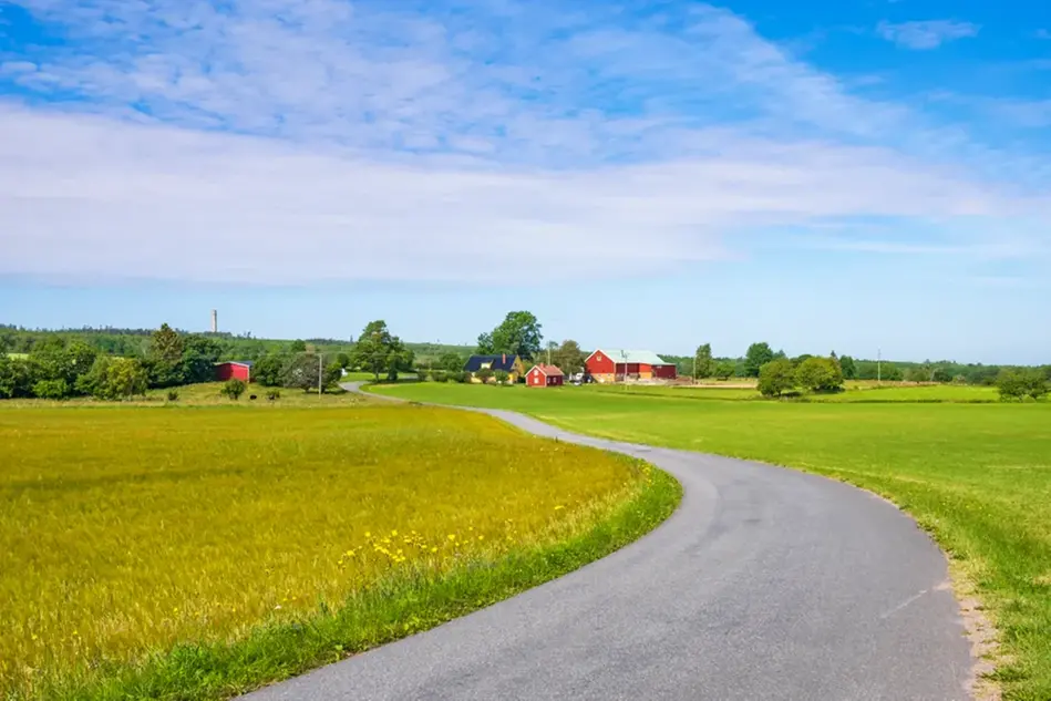 En landsväg slingrar sig genom ett grönt fält fram till en bondgård. Foto