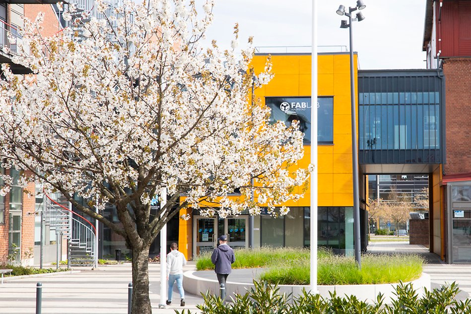 Entrén till S-huset. Ett blommande körsbärsträd syns i förgrunden. Foto