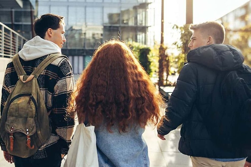 Äng med vita blommor. Foto.