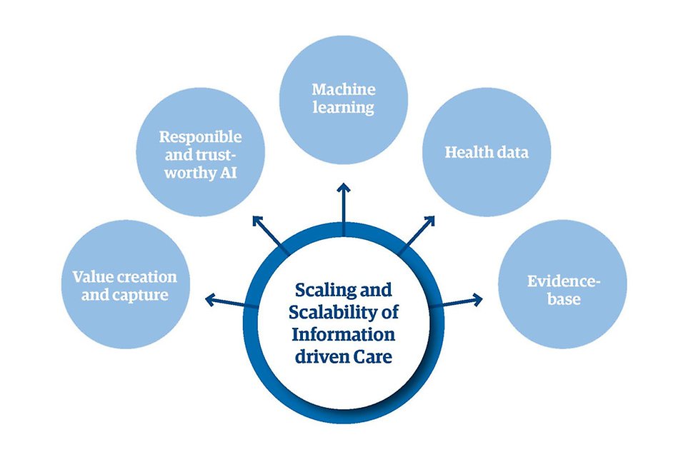 Illustration of IDC:s focus areas.