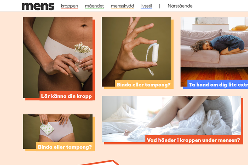 Skärmbild från webbsida med mensskola.