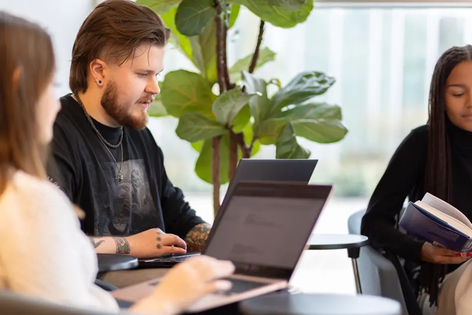 Students studying with laptops. A green plant is visible in the background. Photo.