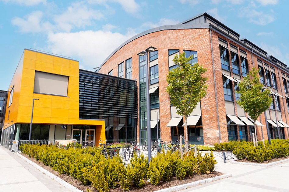 A brick building behind cherry trees in full bloom in the foreground. Photo.