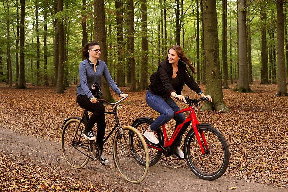 Two women biking in the forest. Photo.