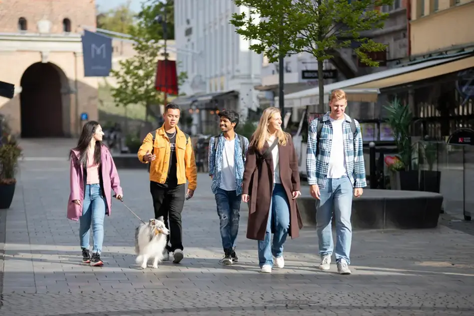 Fem personer och en hund promenerar på en gata i stadens centrum. Foto.