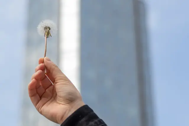 Hand som håller en blomma mot suddig bakgrund. Foto