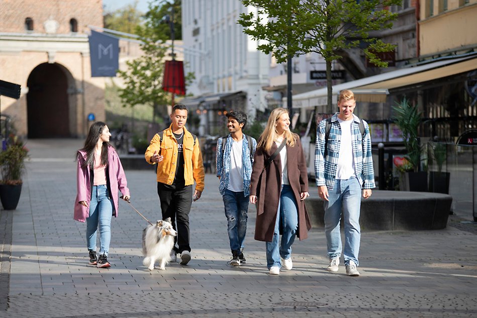 Fem unga vuxna går i en stadskärna. En av dem rastar sin hund. Foto.