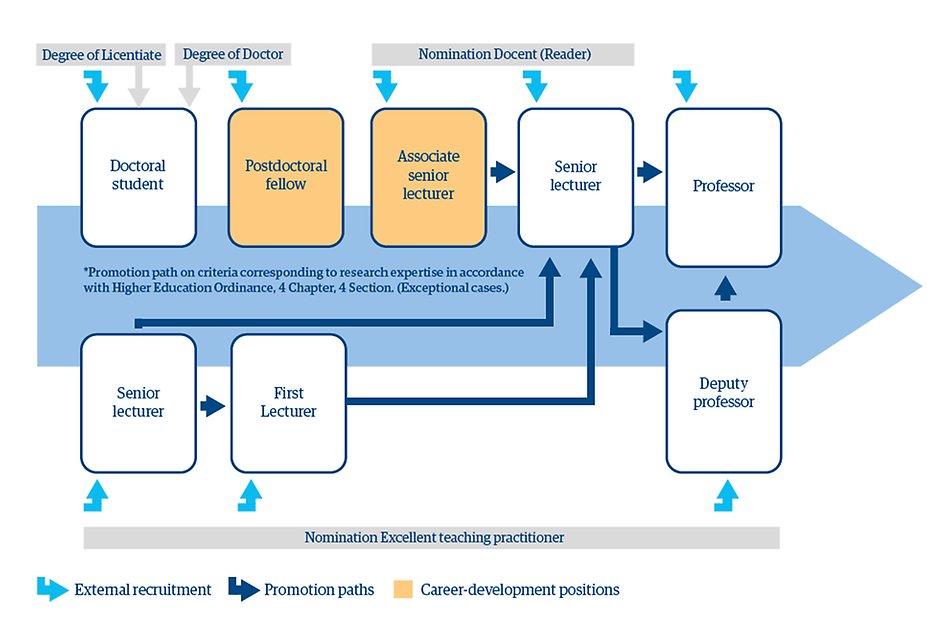 Beskrivning av karriärvägar och befordringsmöjligheter på högskolan. Illustration.