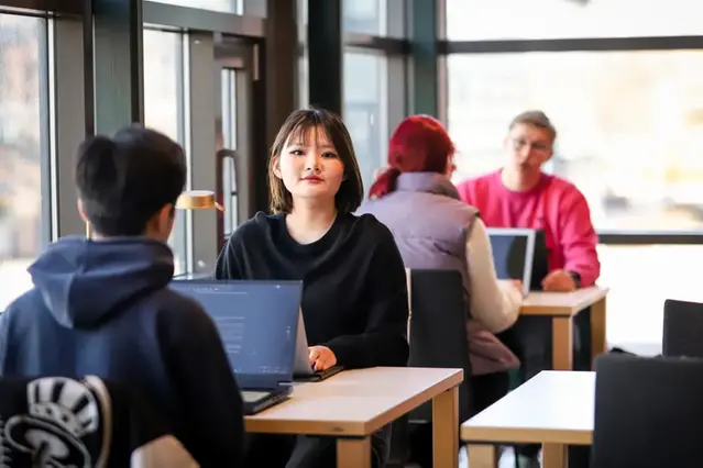 Four students studying at campus in front of their laptops. One person is looking straight into the camera. Photo.