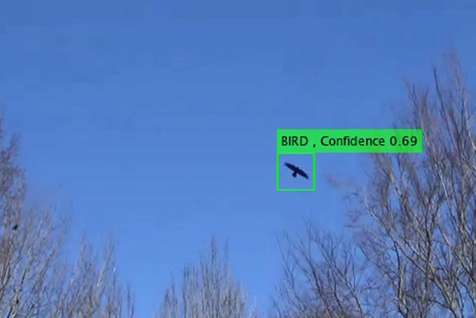 Ett foto av en fågel som flyger. Fågeln har en grön ruta runt sig och så står det "bird, confidence 0.69".