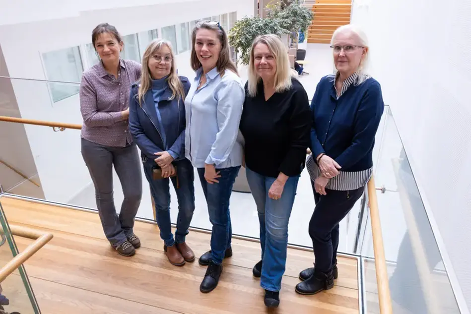 En grupp kvinnor som står bredvid varandra.