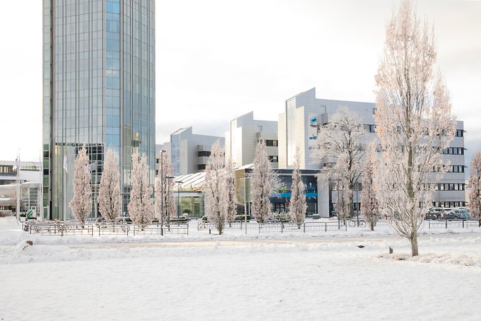 Buildnings in a snowy landscape. Photograph.