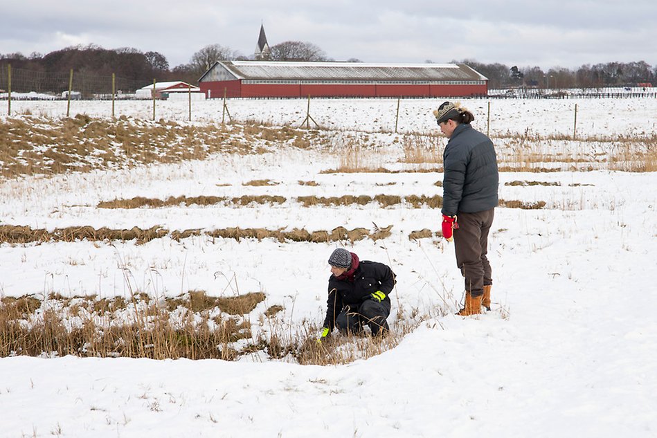 People in a winter landscape