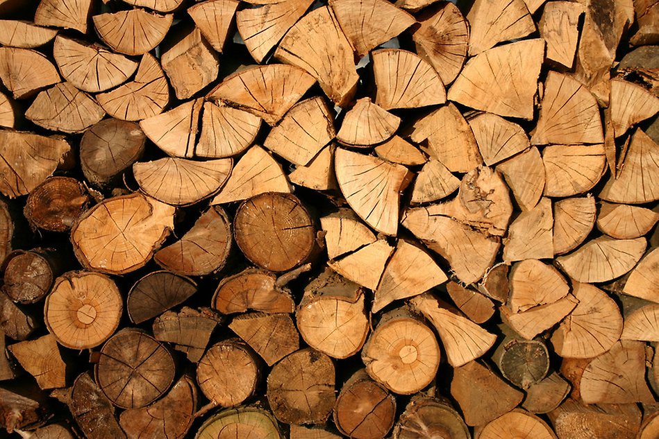 A pile of firewood. Photo.