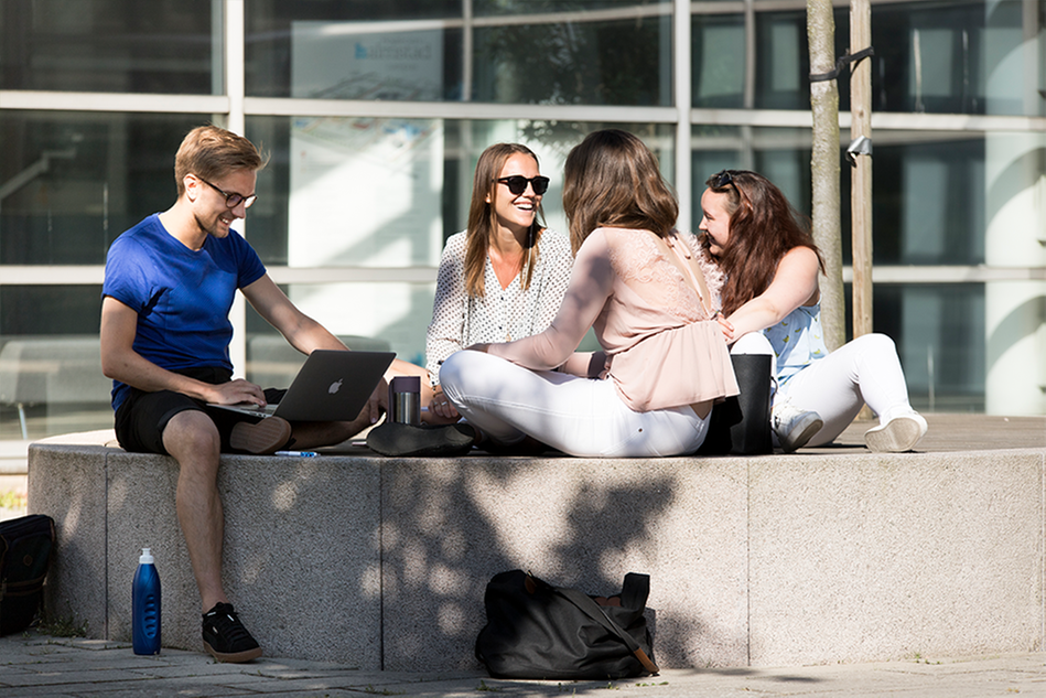 Four young students sitting outside studying. Photo.