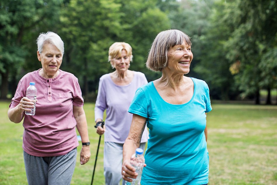 Three elderly people walking in a green natural environment. Photo.