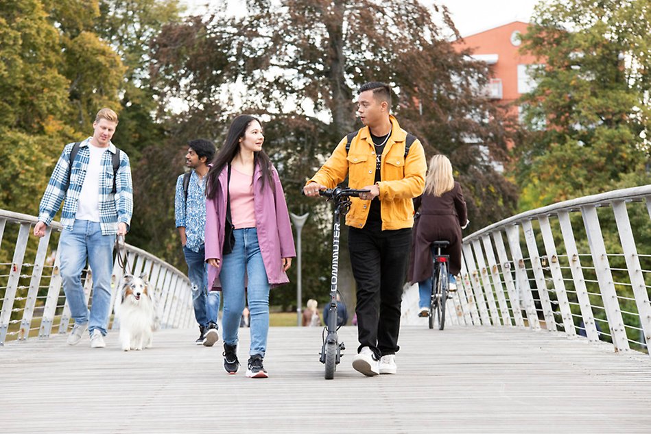 Persons, one with a bicyle, walking over a bridge. Photo.