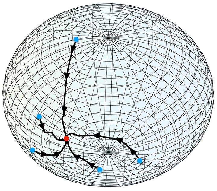 Image of a wireframe sphere with five arrows and dots. Illustration.